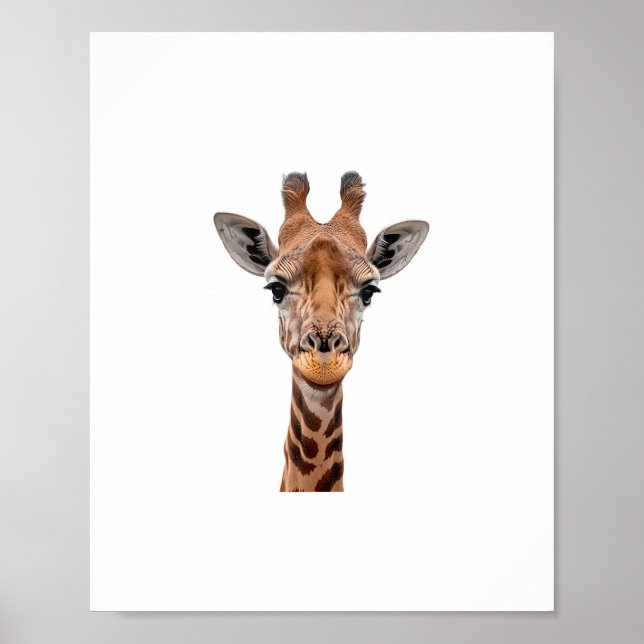 Affiche Girafe _1 (Devant)