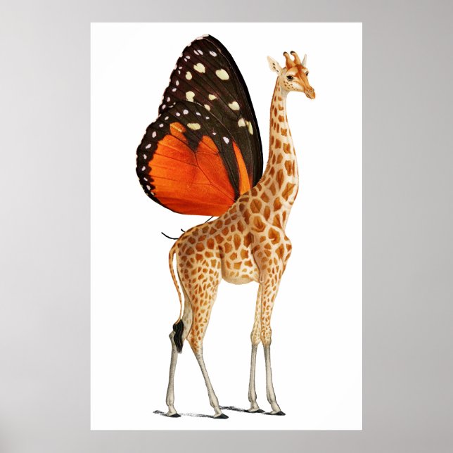 Affiche Girafe à papillon (Devant)