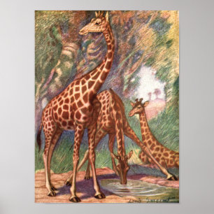 Affiche Girafes par Louis Sargent, Animaux africains vinta