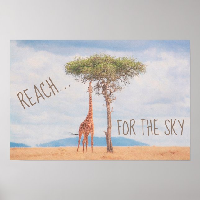 Affiche Giraffe Arbre Grand Savannah Atteindre le ciel Mot (Devant)