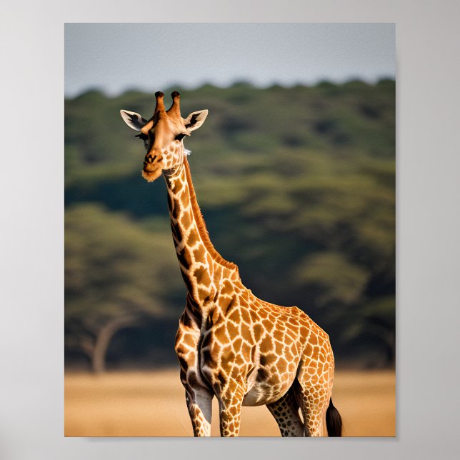 Affiche Giraffe debout haute (Devant)