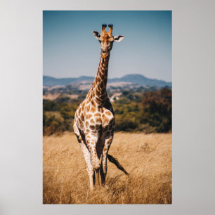 AFFICHE GIRAFFE ENTOURÉ DE GRASS BROWN
