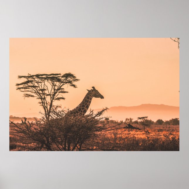 AFFICHE GIRAFFE NOIR ET BLANC SUR LE CHAMP GRASS BROWN (Devant)