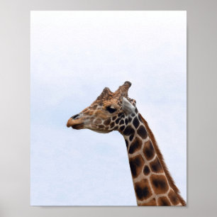 Affiche Giraffe Portrait Photo 106