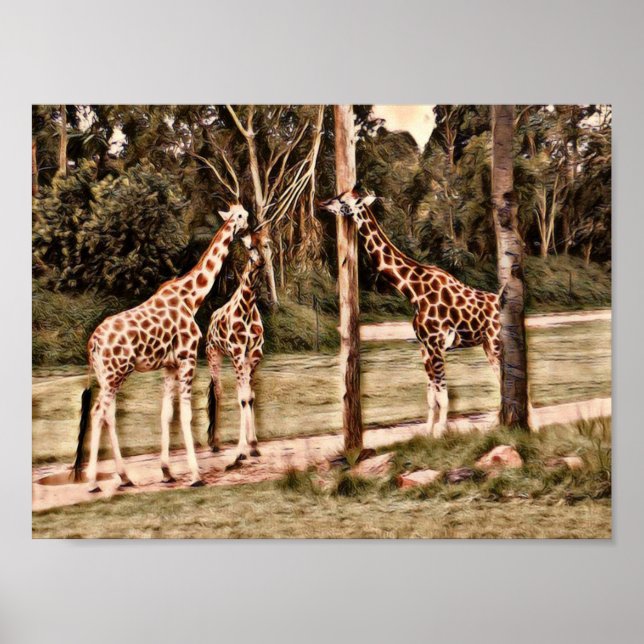 Affiche Giraffes (Devant)