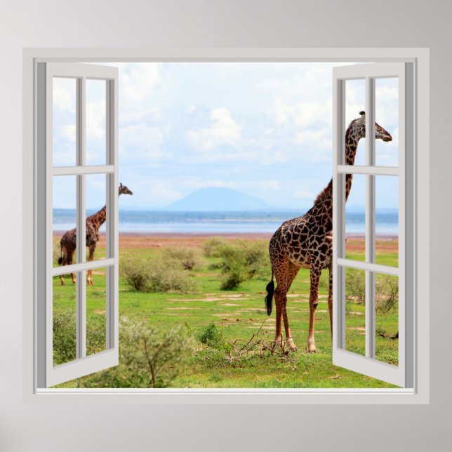 Affiche Giraffes en Serengeti (Devant)