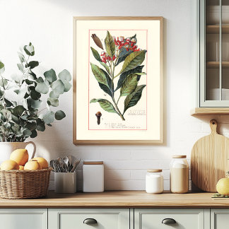AFFICHE GIROFLES - ILLUSTRATION BOTANIQUE VINTAGE