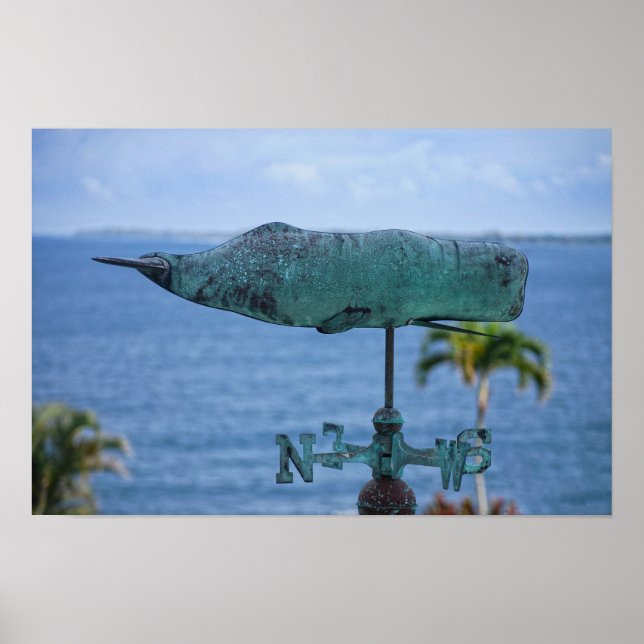 Affiche Girouette Baleine à Bosse (Devant)