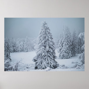 Affiche Glace et neige Bois, Alpes suisses