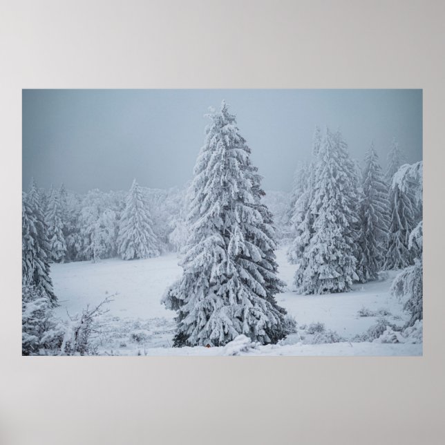 Affiche Glace et neige | Bois, Alpes suisses (Devant)