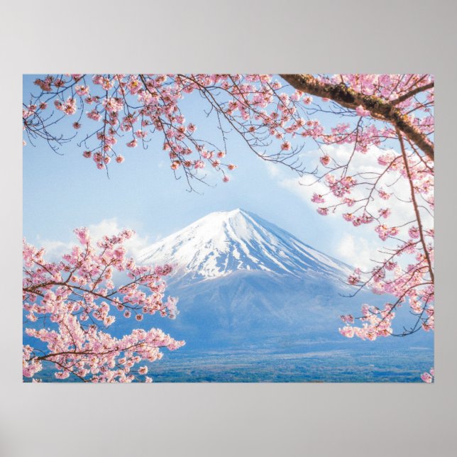 Affiche Glace et neige | Cherry Blossoms Mt. Fuji Japon (Devant)