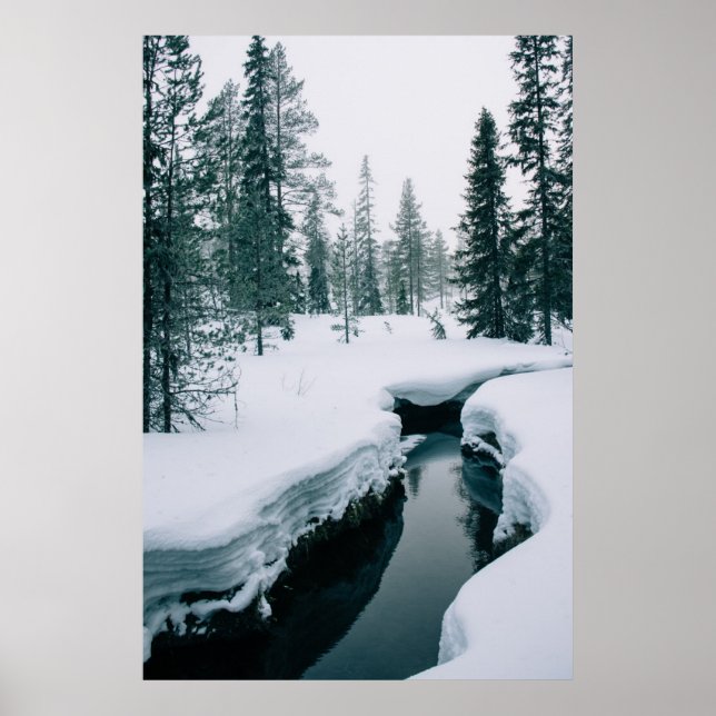 Affiche Glace et neige | Flux dans un paysage hivernal enn (Devant)