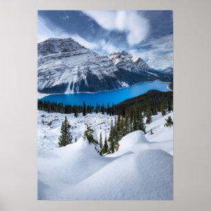 Affiche Glace et neige Lac Peyto, Rocheuses canadiennes