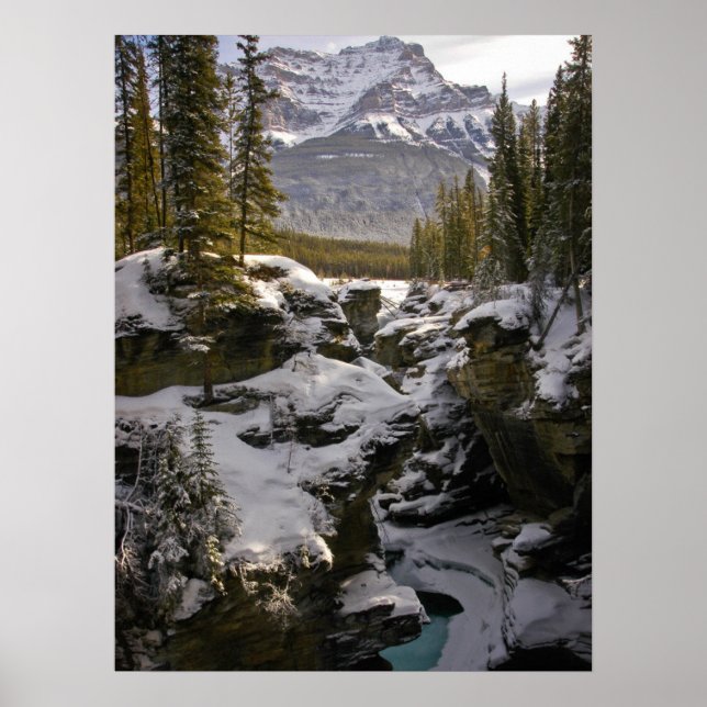 Affiche Glace et neige | Parc national Jasper Alberta, Can (Devant)