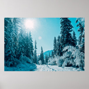 Affiche Glace et neige   Réserve naturelle de l'Altaï, Rus