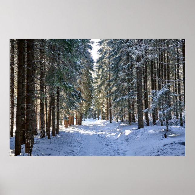Affiche Glace et neige | Tatra Mountains, Pologne (Devant)