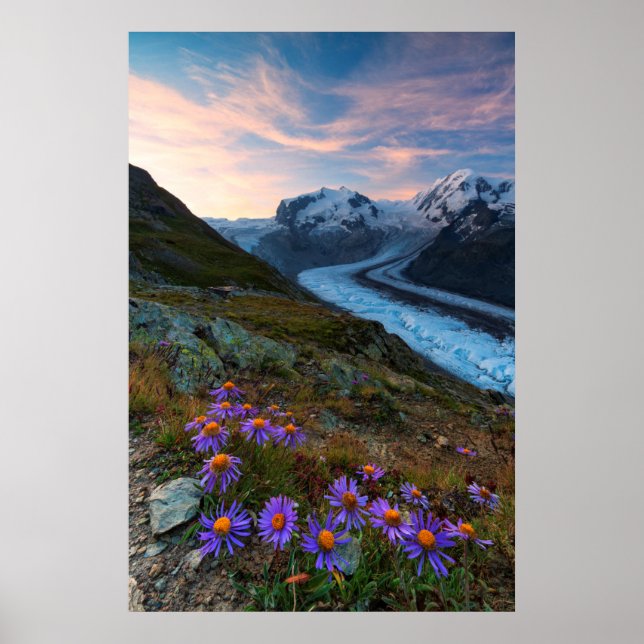 Affiche Glacier Monte Rosa | Suisse (Devant)
