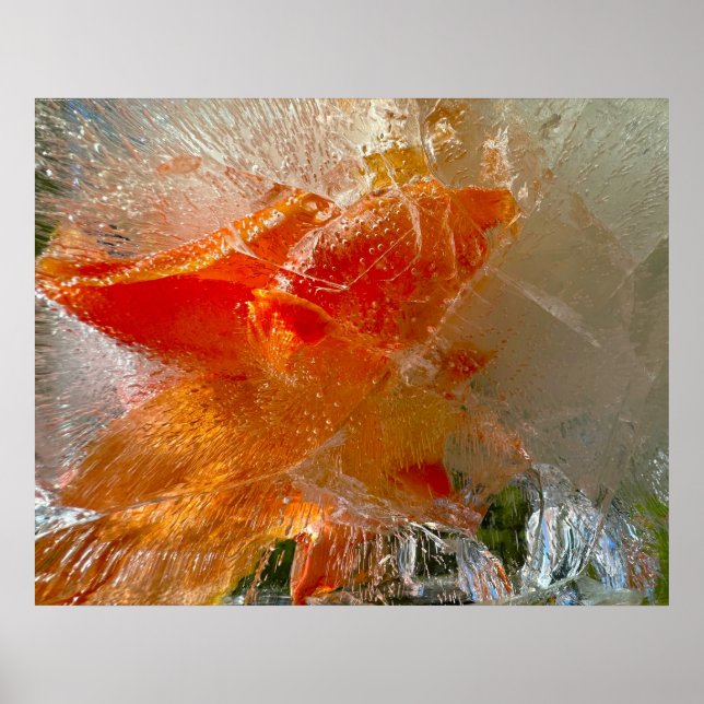 Affiche Gladioli dans la glace, (Devant)