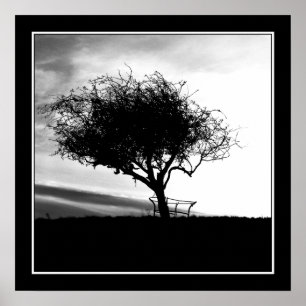 Affiche Glastonbury Hawthorn. Arbre. Noir et Blanc.