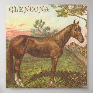 Affiche Glencona
