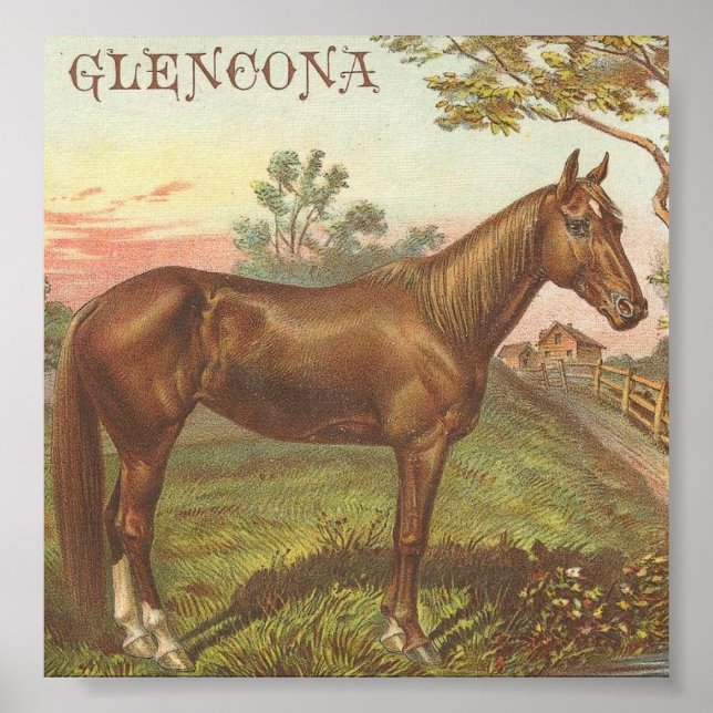 Affiche Glencona (Devant)