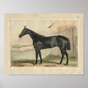Affiche Glengarry 1873 vintage d'impression de cheval