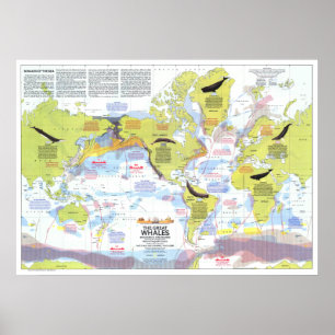 Affiche " Global : 1976 - Wale der Welt Wanderkarte ...