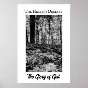 Affiche Gloire de Dieu Forêt Noir et Blanc