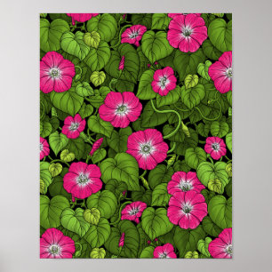 Affiche Gloire du matin en rose et vert