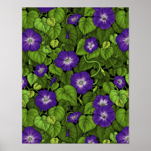 Affiche Gloire du matin en violet et vert