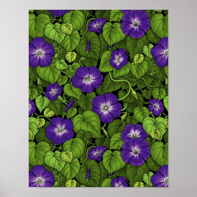 Affiche Gloire du matin en violet et vert (Devant)