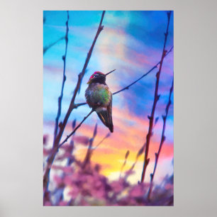 AFFICHE GLOIRE DU SOLEIL HUMMINGBIRD