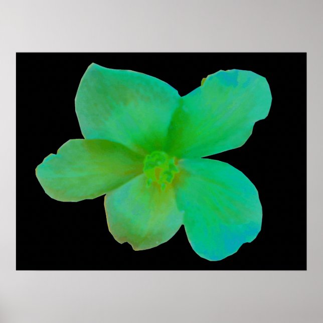 Affiche Glorieux vert Begonia Imprimer (Devant)