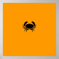 Glow océanique_Crabe noir sur orange