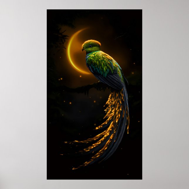Affiche Glow of the Night Feather (Devant)