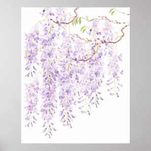 Affiche glycine en floraison 2023