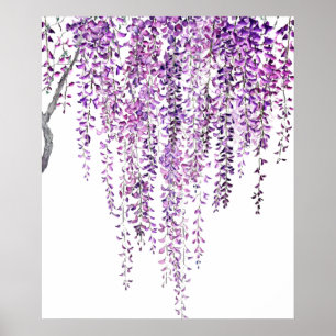 Affiche glycine violette en fleur