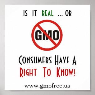 Affiche - GMO, droite de savoir