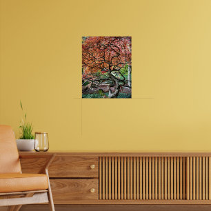 Affiche Gnarly Twisted Japanese Maple Tree Photo