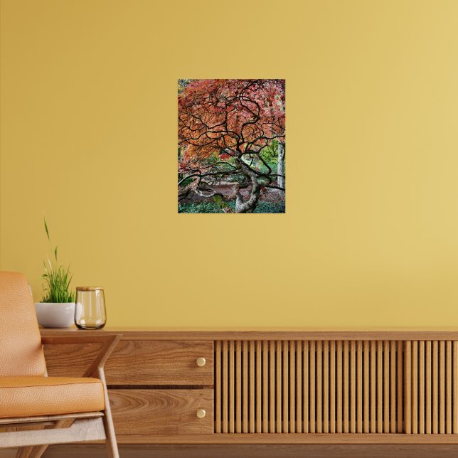 Affiche Gnarly Twisted Japanese Maple Tree Photo (Salon 2)