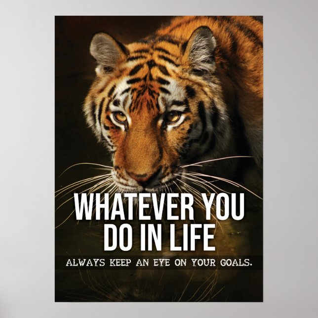 Affiche Goals - Hustle, Gym, Success - Tiger Motivational (Devant)