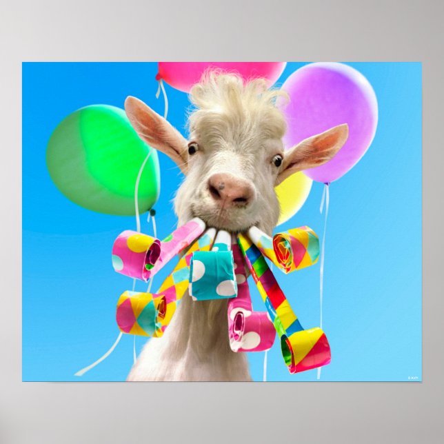 Affiche Goat with Party Blowers (Devant)