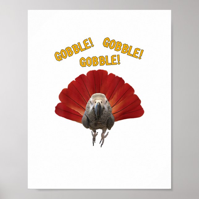 Affiche Gobble ! Turquie Thanksgiving African Grey Parrot (Devant)