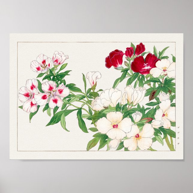 Affiche Godetia par Tanigami Konan (Devant)