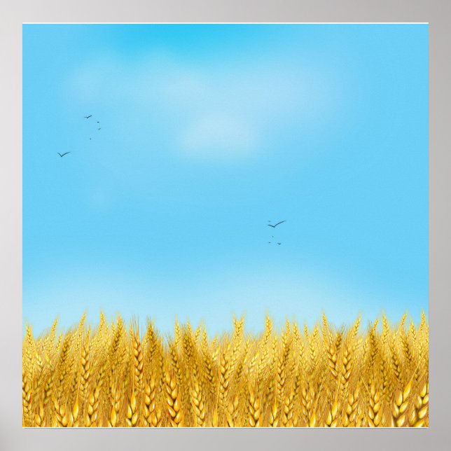 Affiche Gold Blé Field Ciel bleu Peinture à l'huile Été (Devant)