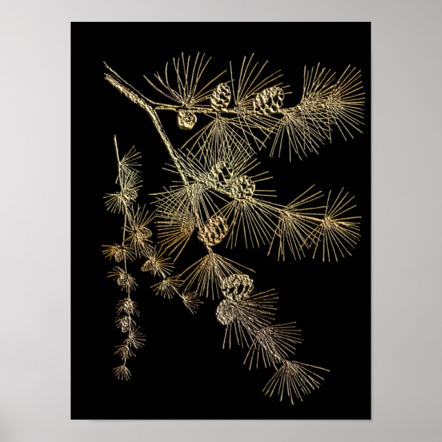 Affiche Gold pine tree Plants nature (Devant)