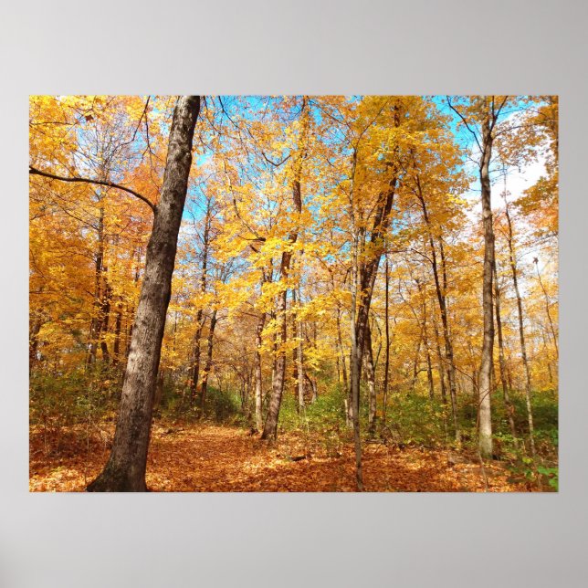 Affiche Golden (Devant)