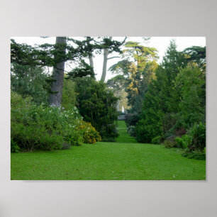 Affiche Golden Gate Park