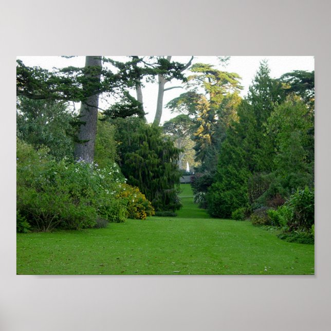 Affiche Golden Gate Park (Devant)