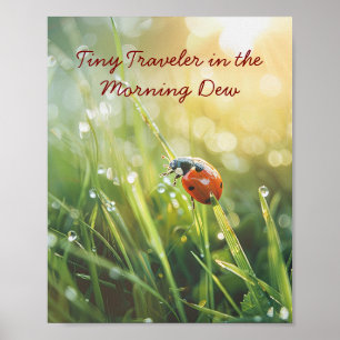 Affiche Golden Morning Ladybug : La beauté de la nature ba